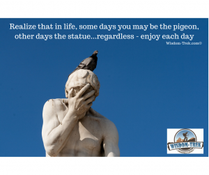 Realize that in life, some days you may be the pigeon, other days the statue...regardless - enjoy each day 